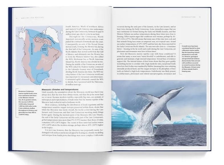 ancient sea reptiles. pleiosaurs, ichthyosaurs, mosasaurs & more