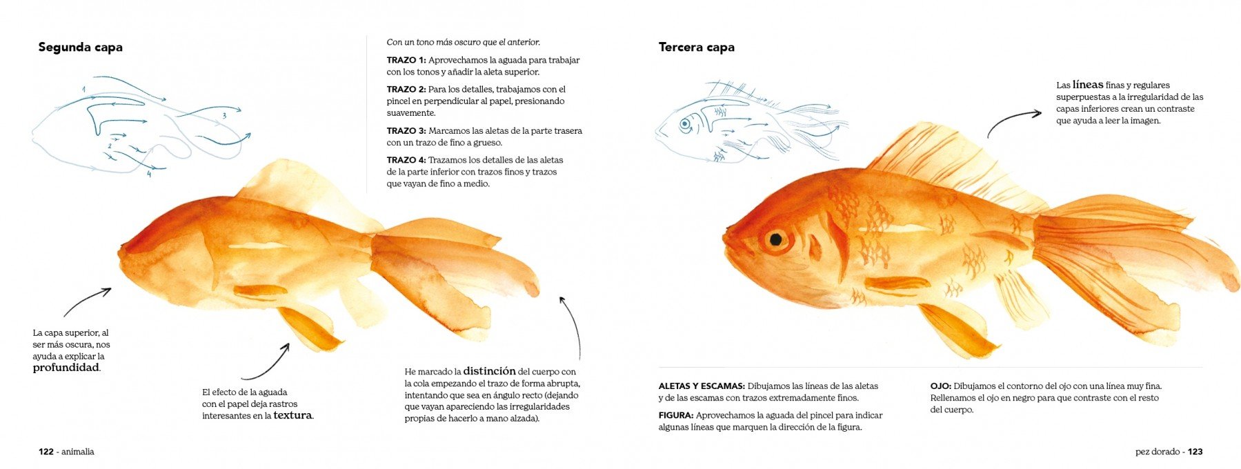 animalia trazo a trazo