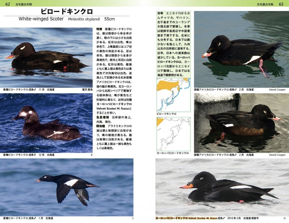 a photographic guide to the birds of japan and north-east asia