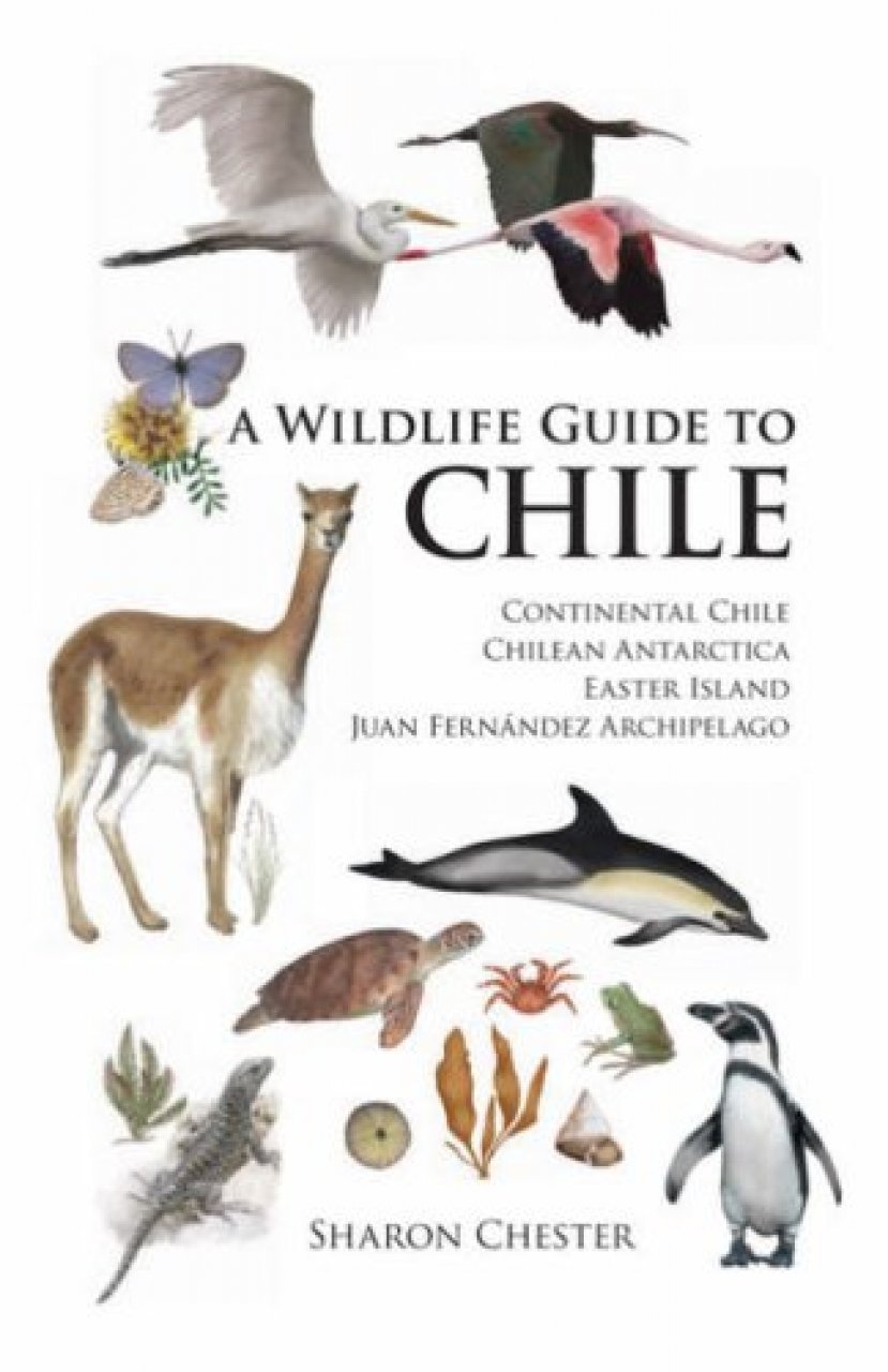 a wildlife guide to chile