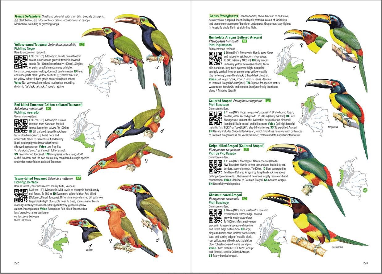 birds of colombia