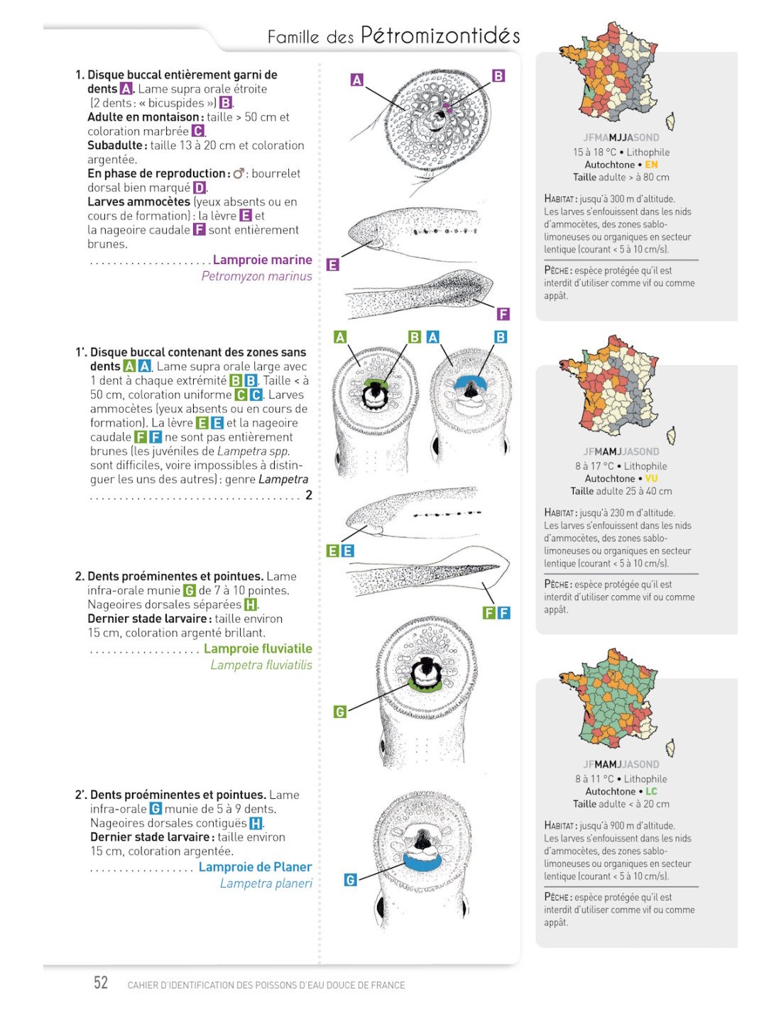 cahier d'identification des poissons d'eau douce de france