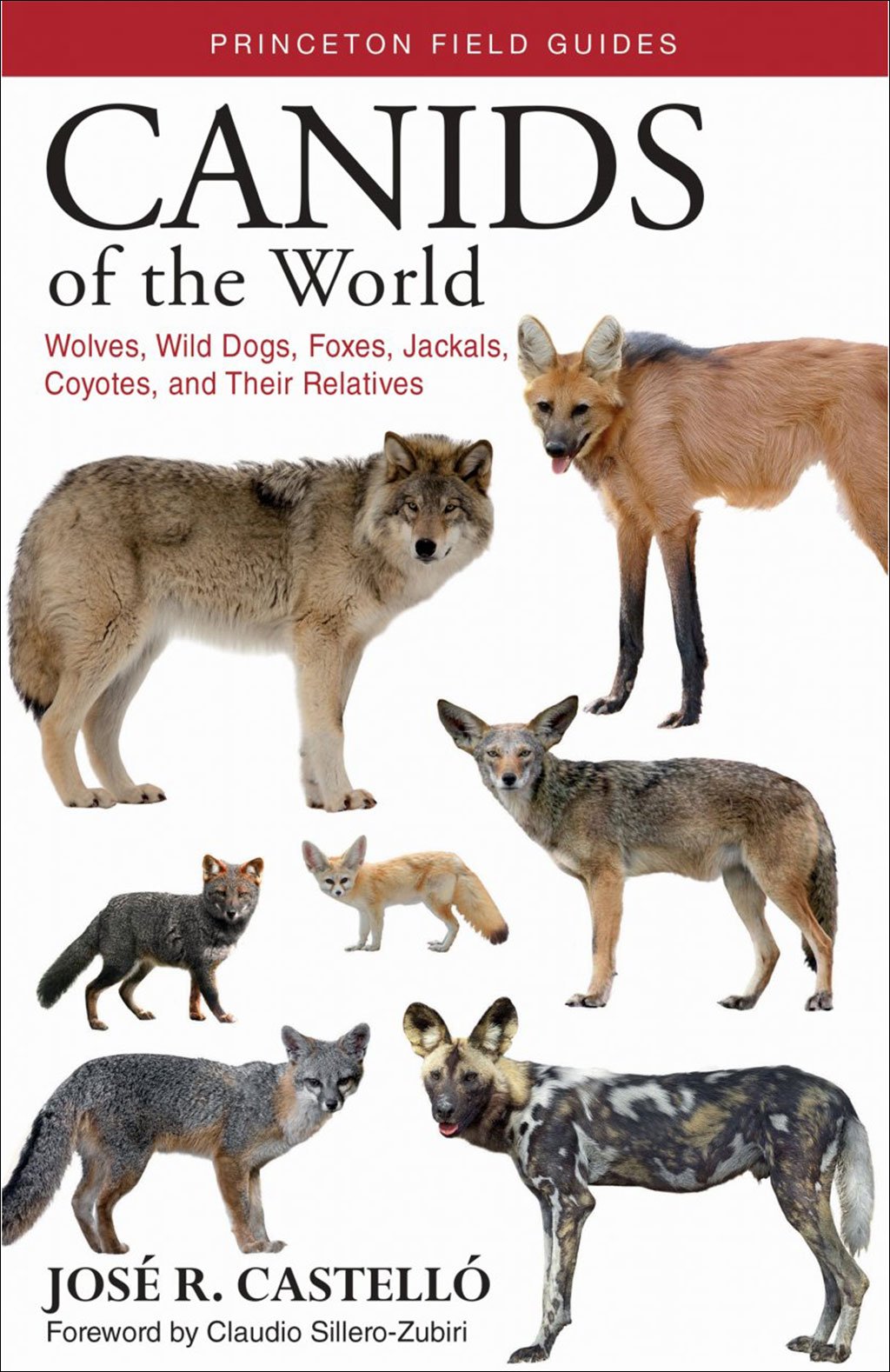 canids of the world. wolves, wild dogs, foxes, jackals, coyotes, and their relatives