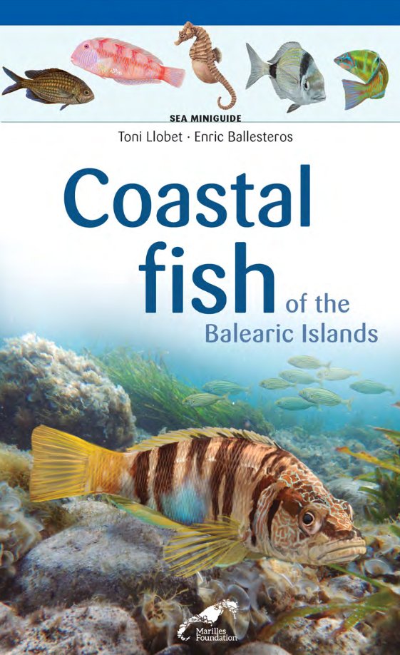 coastal fish of the balearic islands. sea miniguide