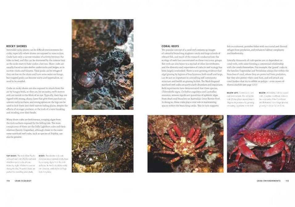 crabs. a global natural history