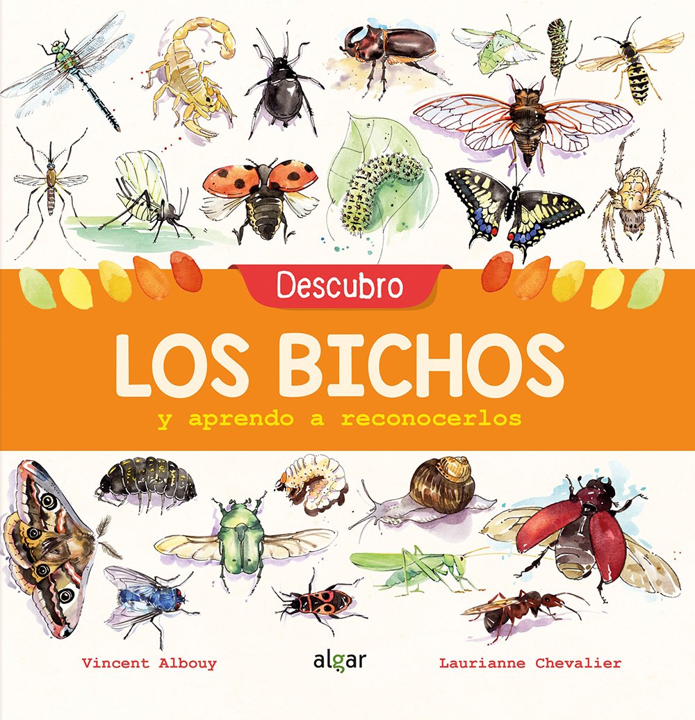 descubro los bichos y aprendo a reconocerlos