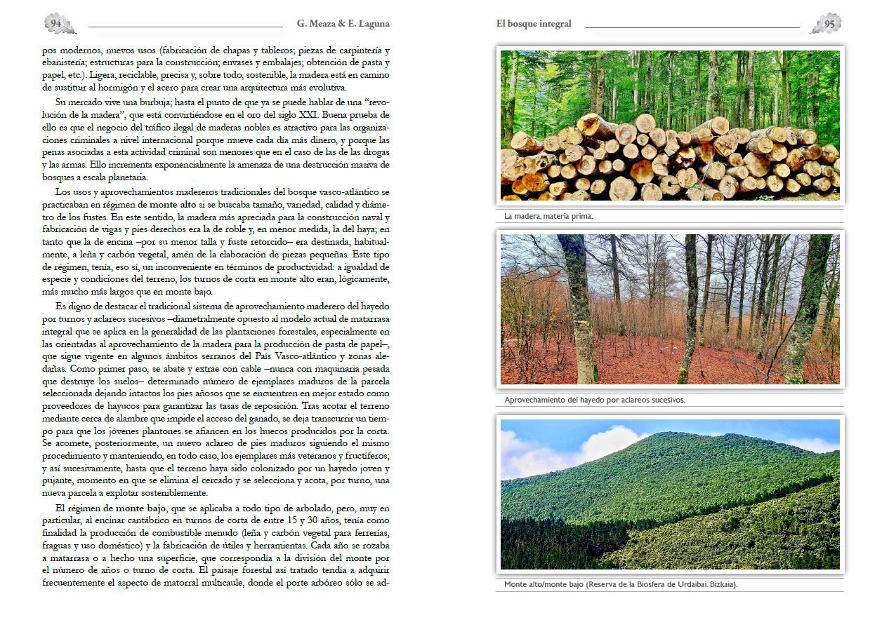 el bosque integral
