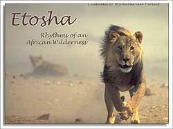 etosha. rhythms of an african wilderness
