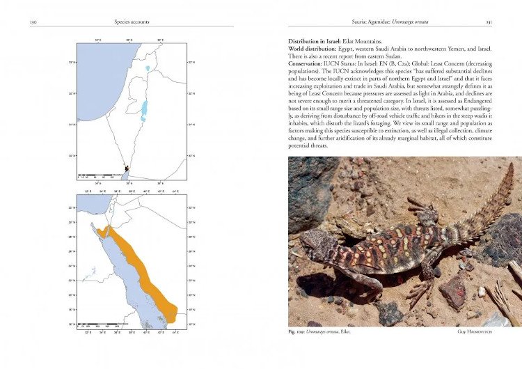 field guide to the amphibians and reptiles of israel