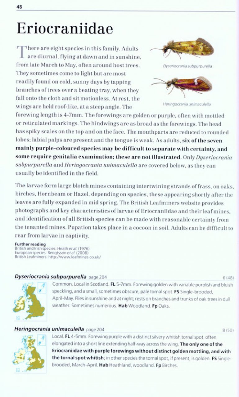 field guide to the micro-moths of great britain and ireland