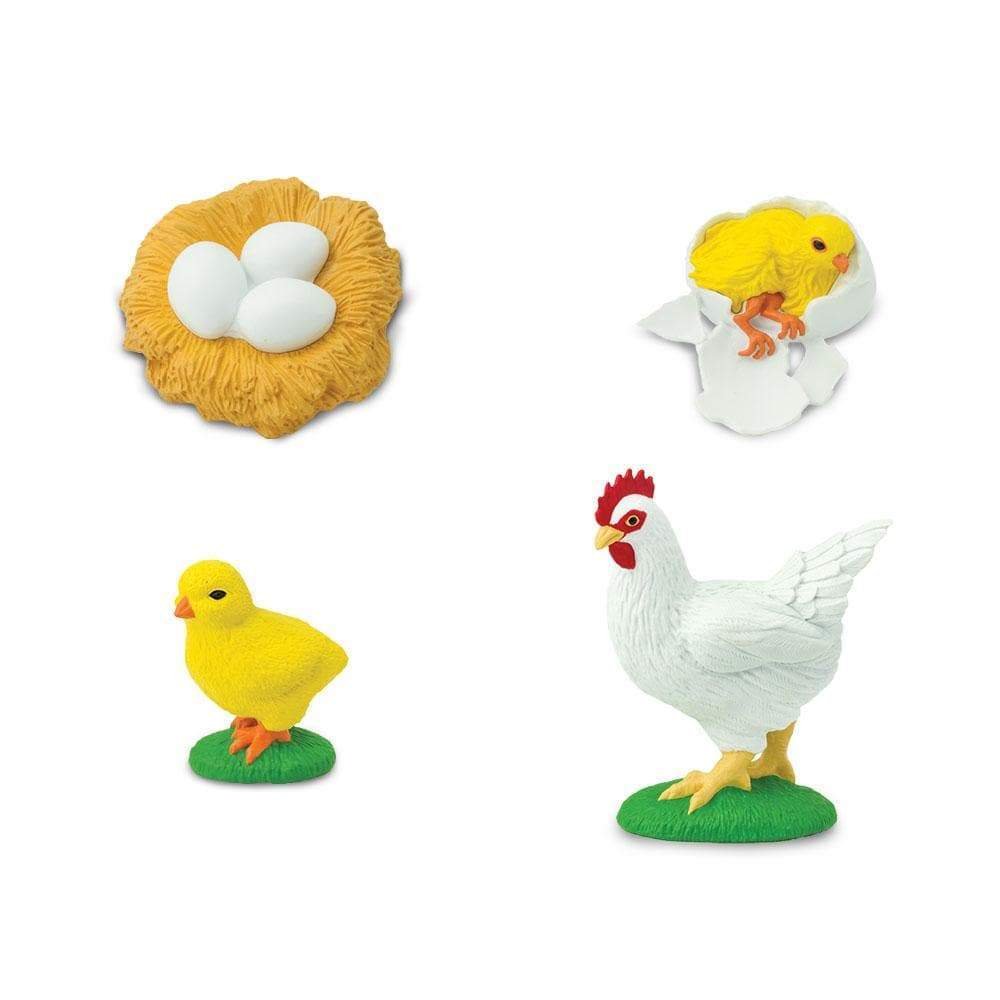 figuras ciclo de la vida - gallina