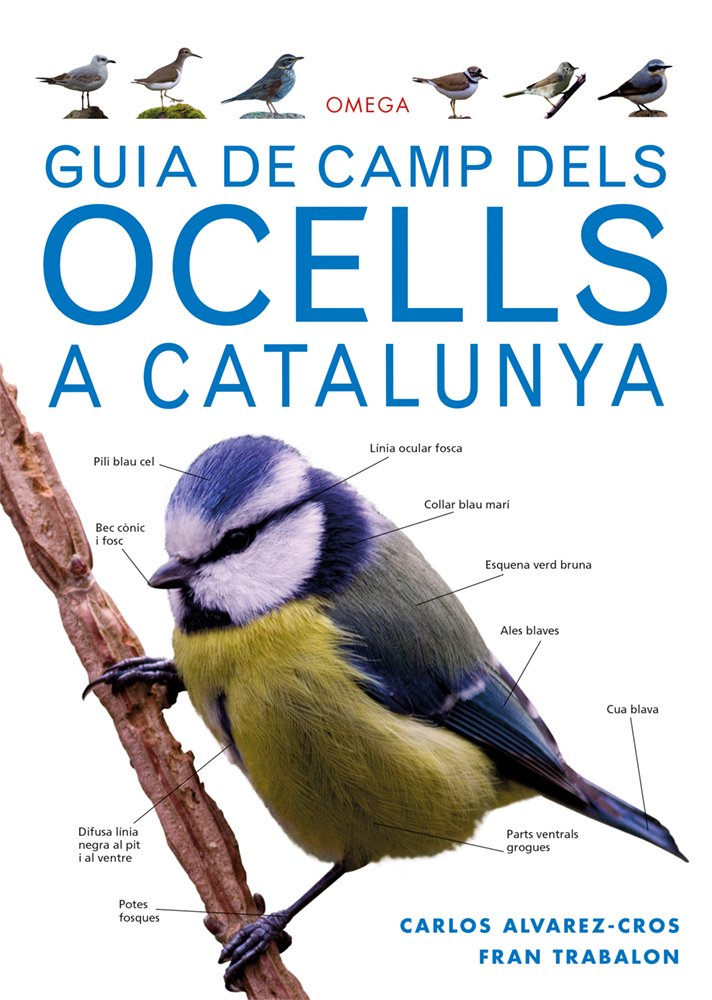 guia de camp dels ocells a catalunya