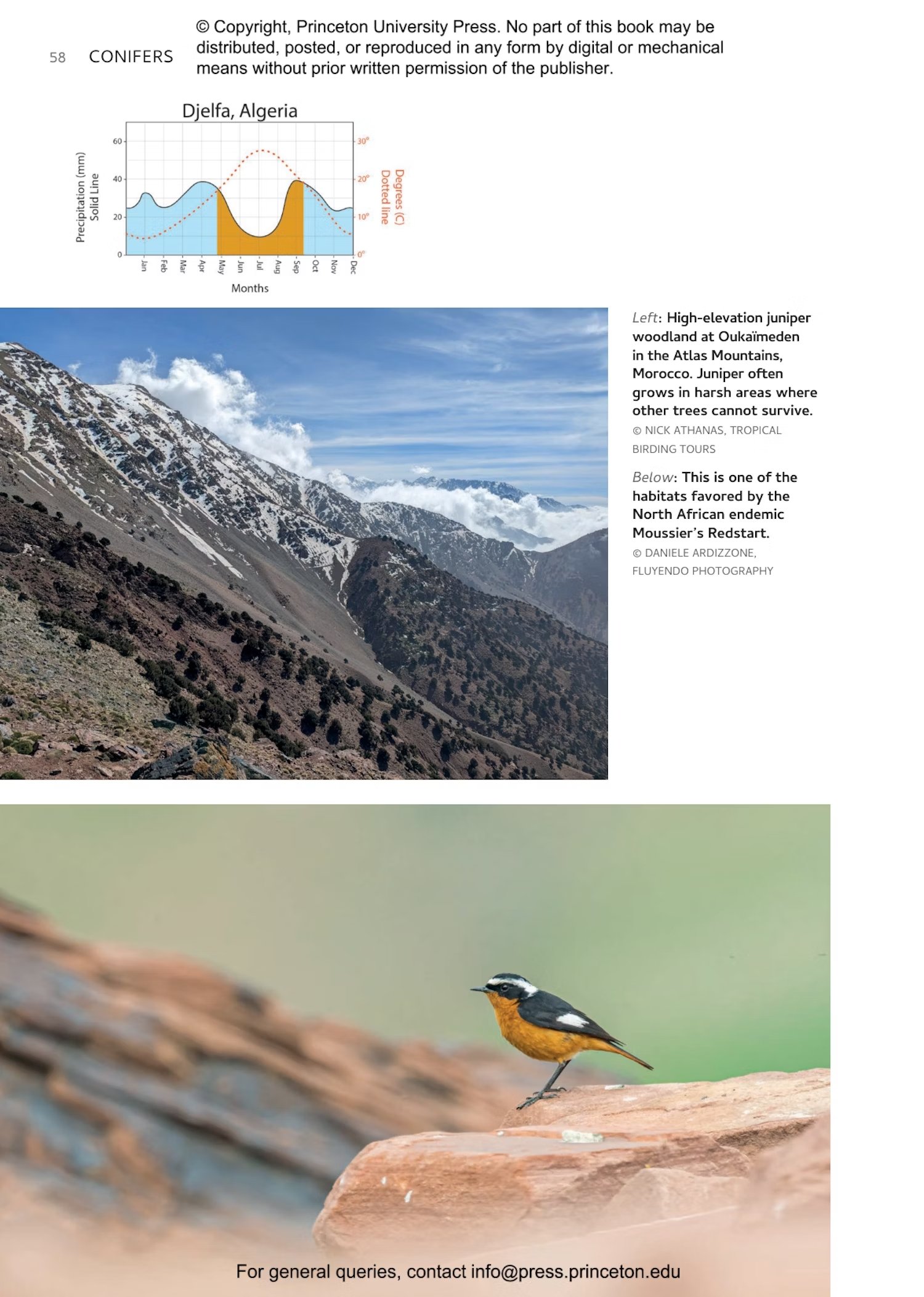 habitats of africa. a field guide for birders, naturalists and ecologists
