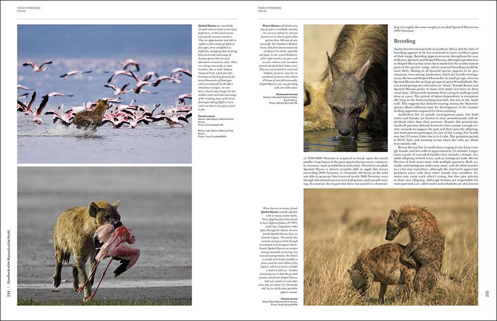 handbook of the mammals of the world. vol. 1 carnivores