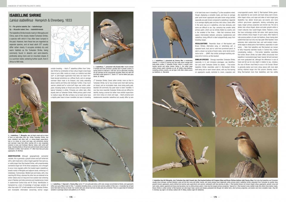handbook of western palearctic birds. passerines