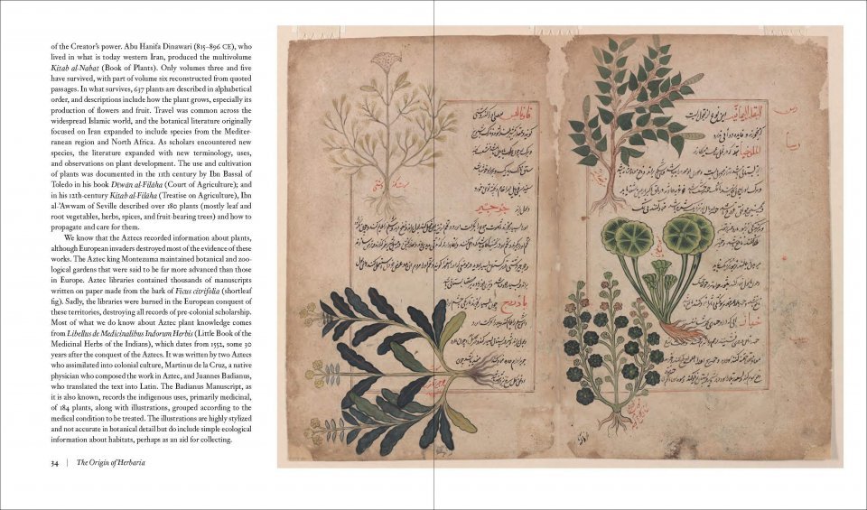 herbarium. the quest to preserve and classify the world's plants