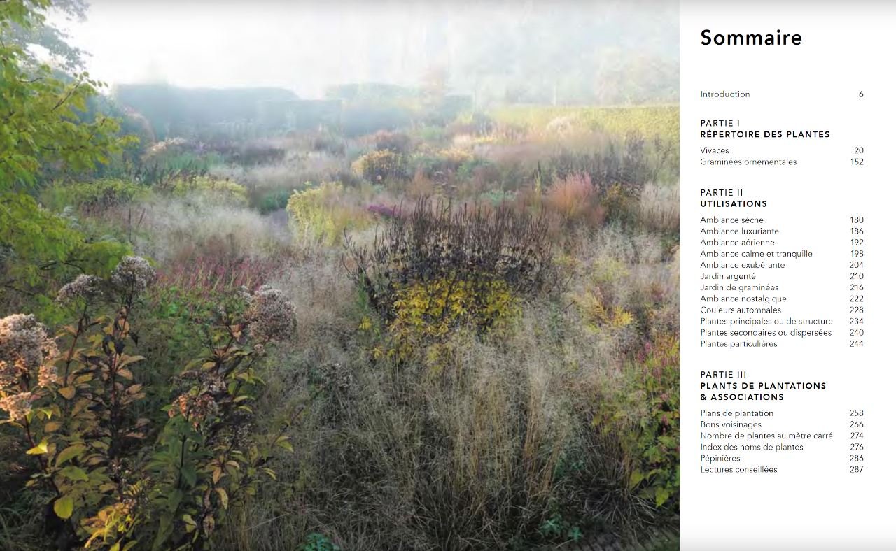 jardins naturalistes - les meilleures plantes vivaces
