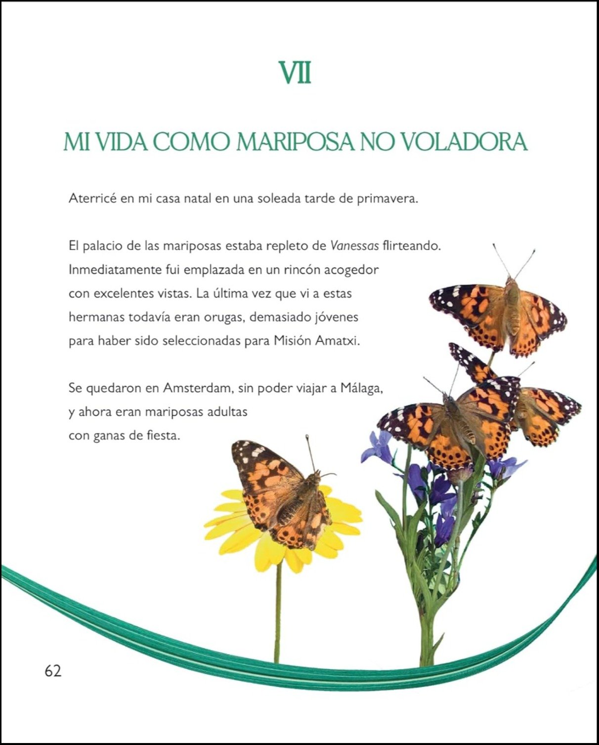 la magia de la transformacion