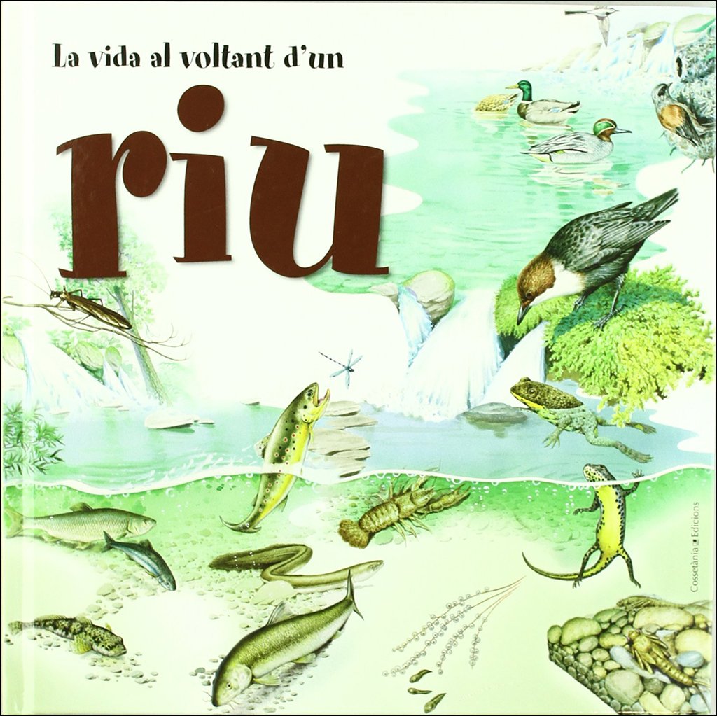 la vida al voltant d'un riu