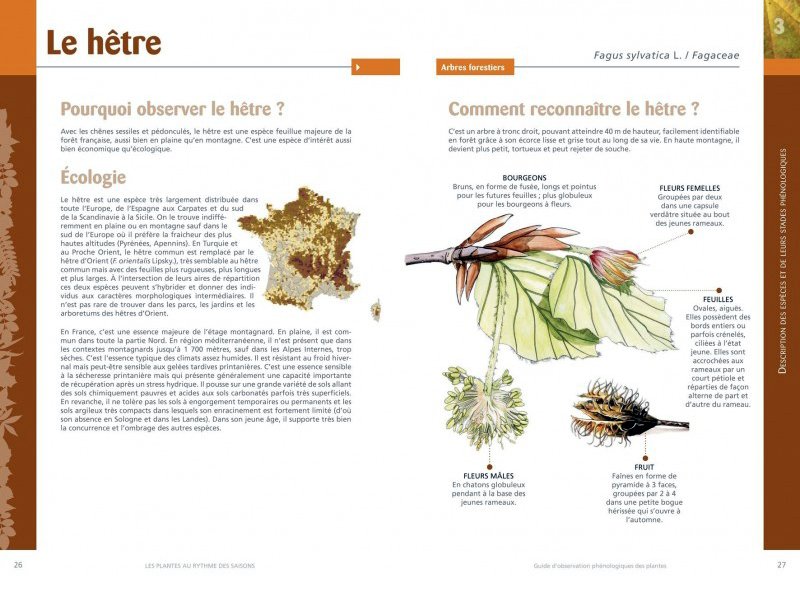 les plantes au rythme des saisons