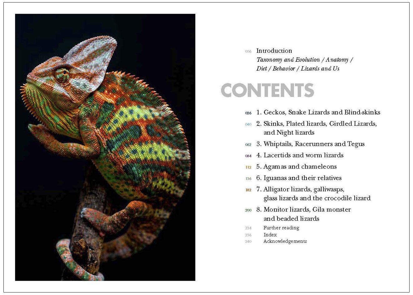 lizards of the world. a guide of every family