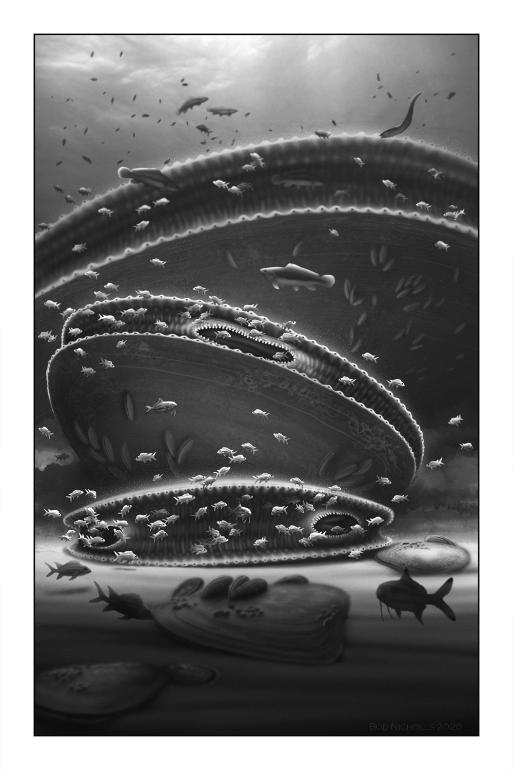 locked in time. animal behavior unearthed in 50 extraordinary fossils
