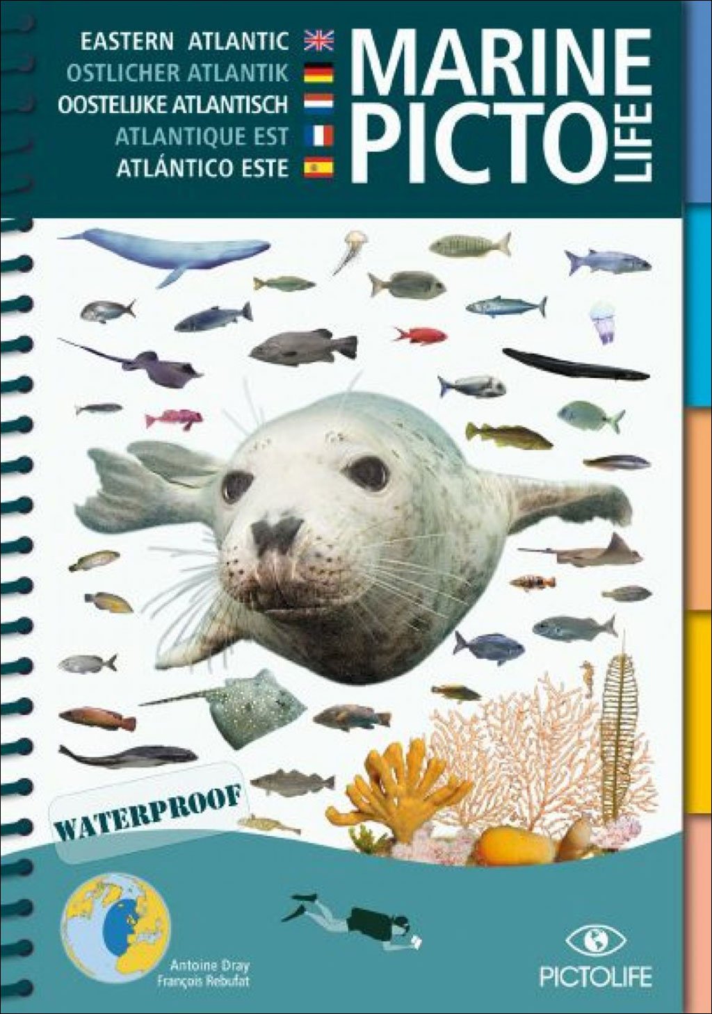 marine pictolife. eastern atlantic
