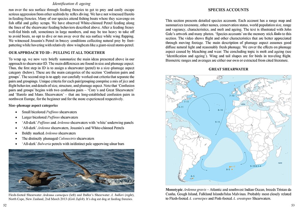 multimedia identification guide to north atlantic seabirds. shearwaters. jouanin's & white-chinned petrels