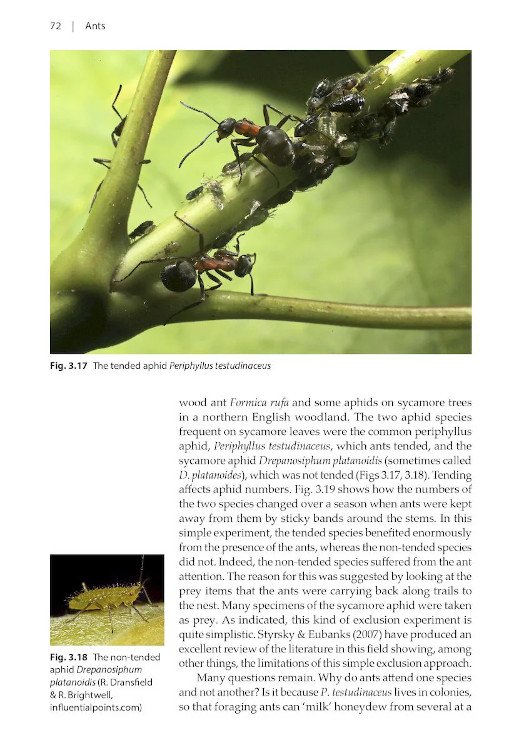 naturalists' handbooks 24. ants
