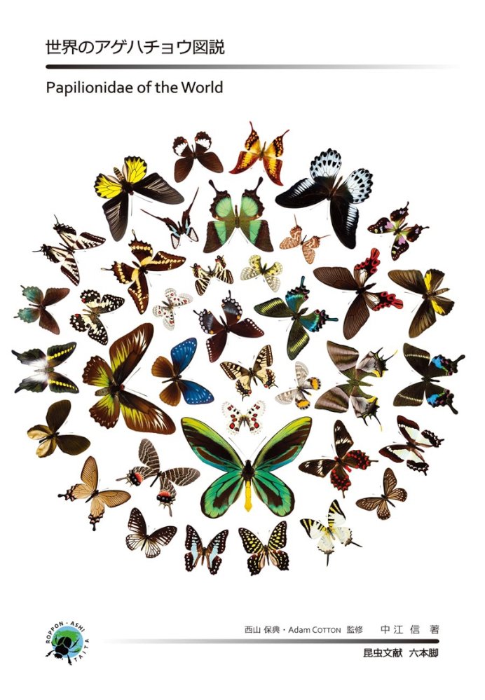 papilionidae of the world