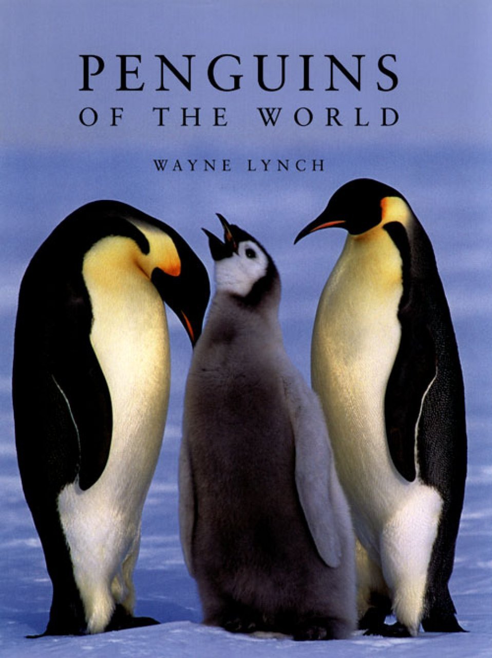 penguins of the world