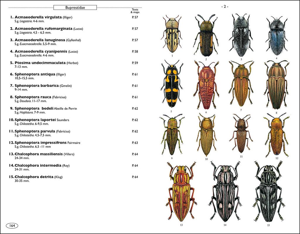 phytophagous beetles of europe. volume 1- buprestidae, elateridae, cleridae, cerambycidae