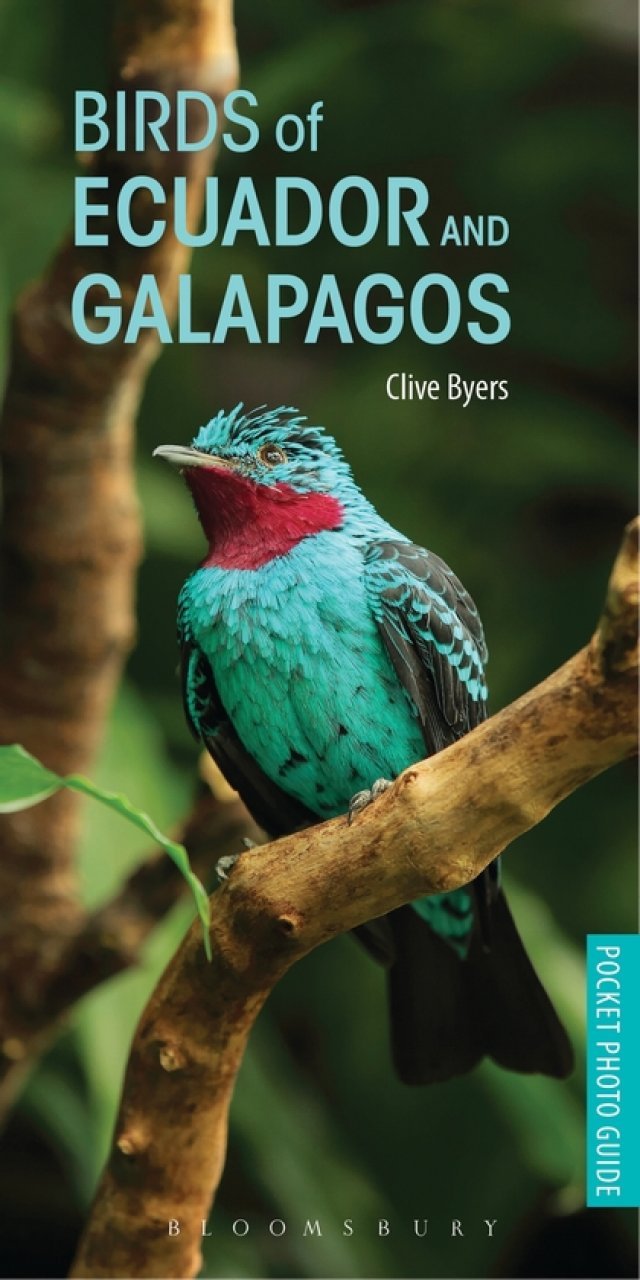 pocket photo guide to the birds of ecuador and galapagos