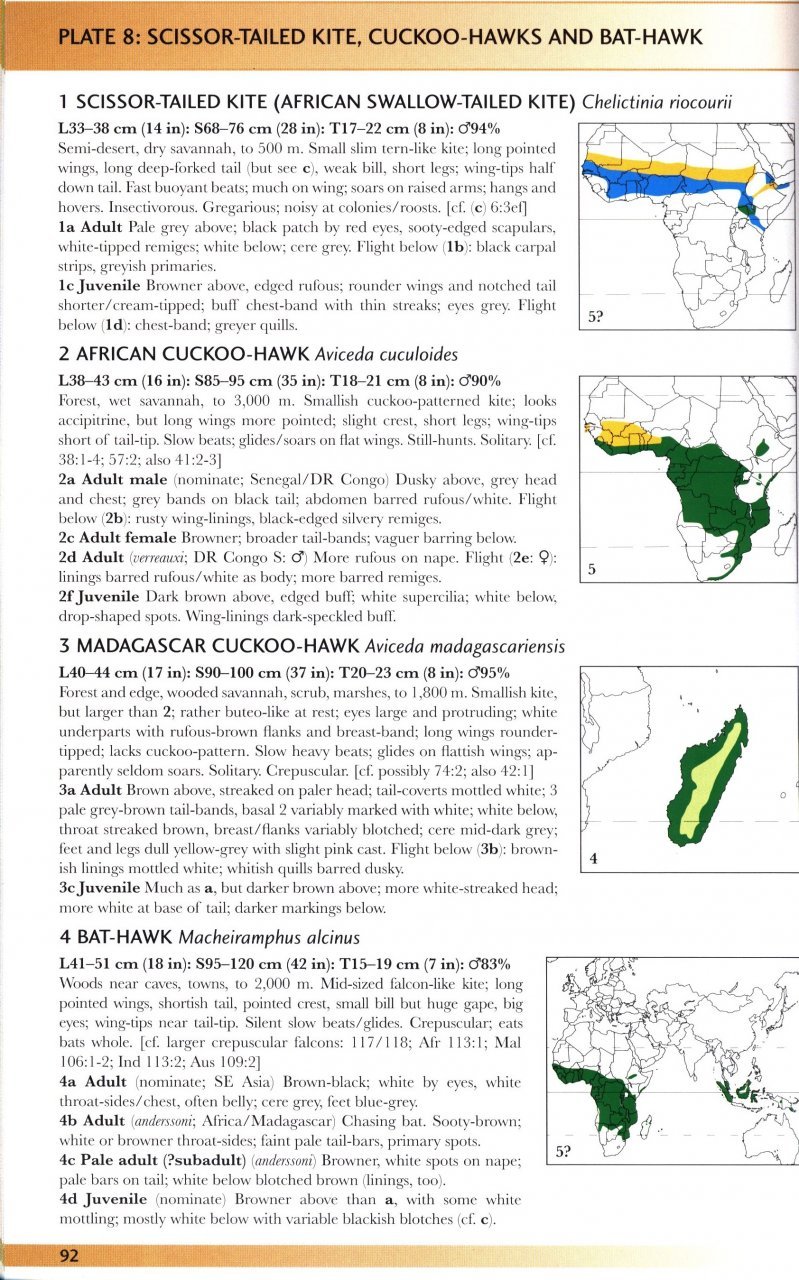 raptors of the world. a field guide