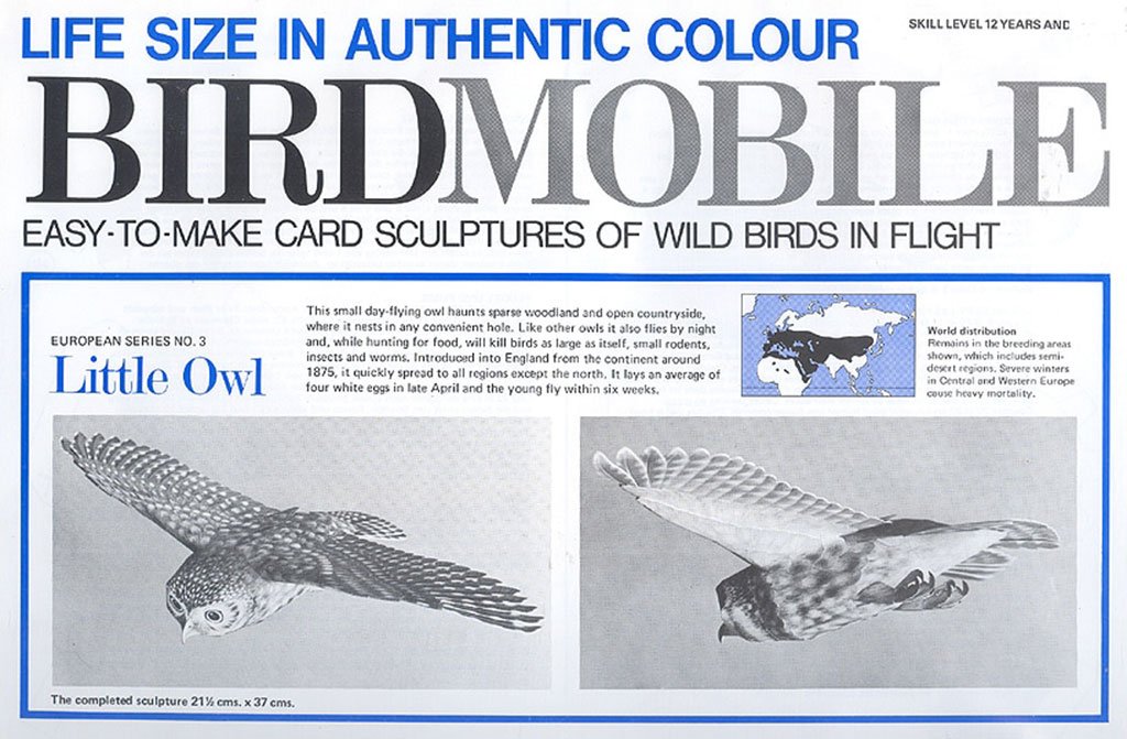 recortable birdmobile de mochuelo