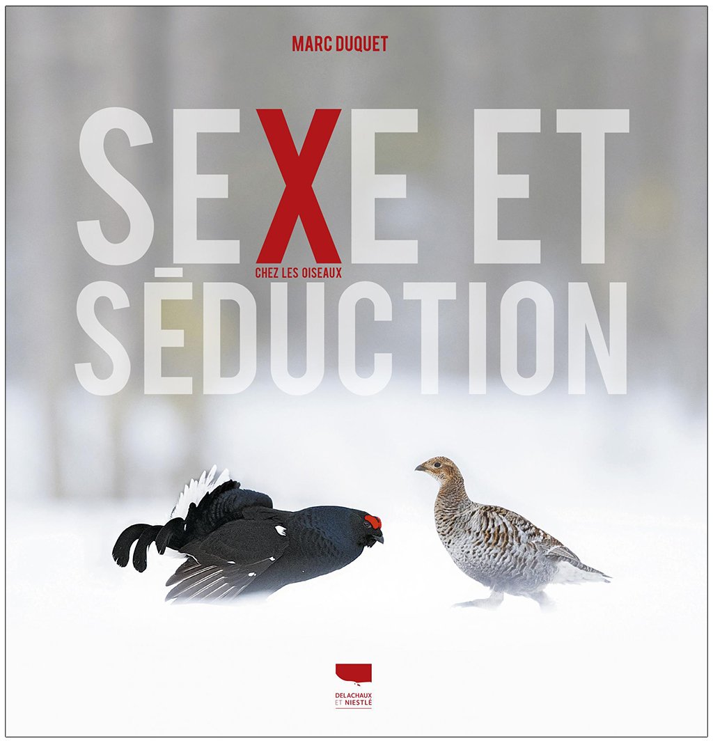 sexe et seduction chez les oiseaux