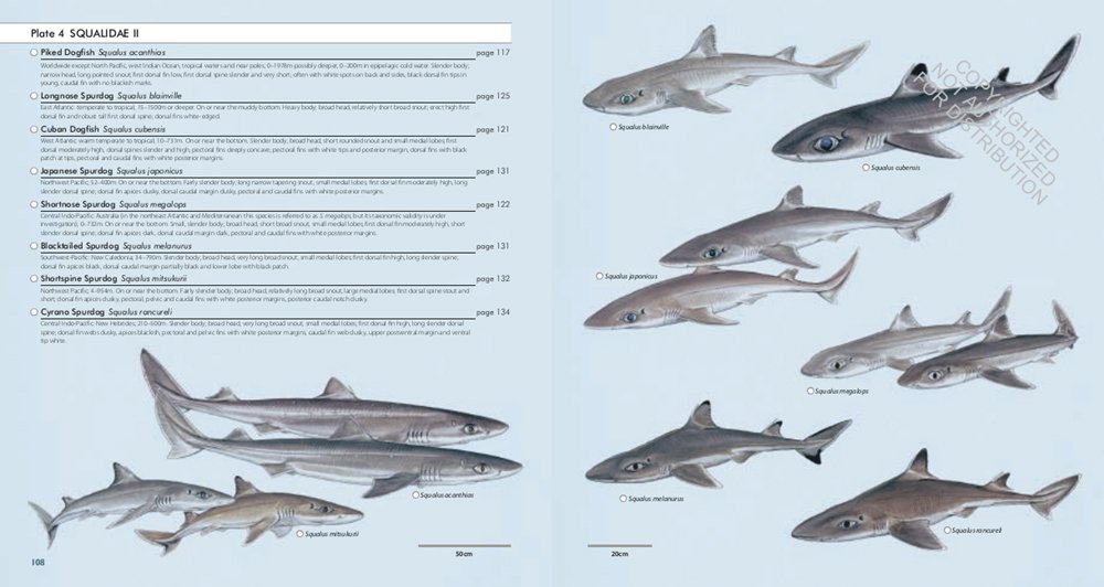 sharks of the world. a complete guide