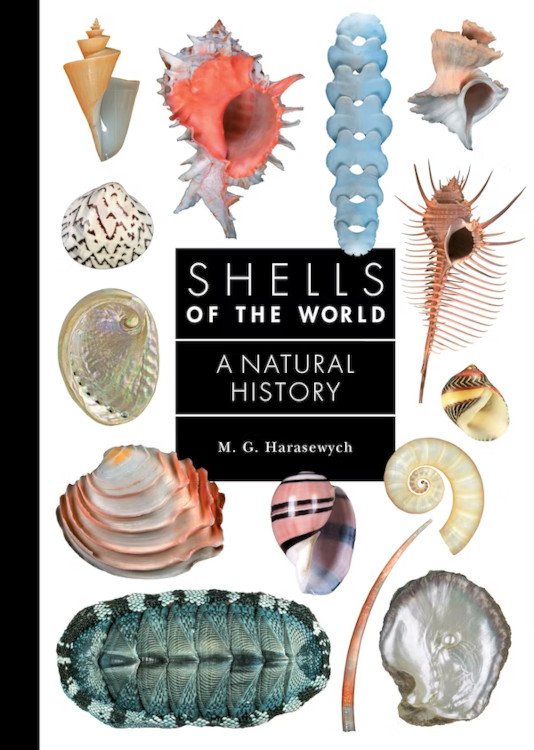 shells of the world. a natural history