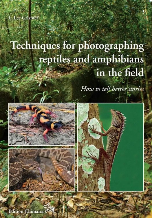 techniques for photographing reptiles and amphibians in the field. how to tell better stories