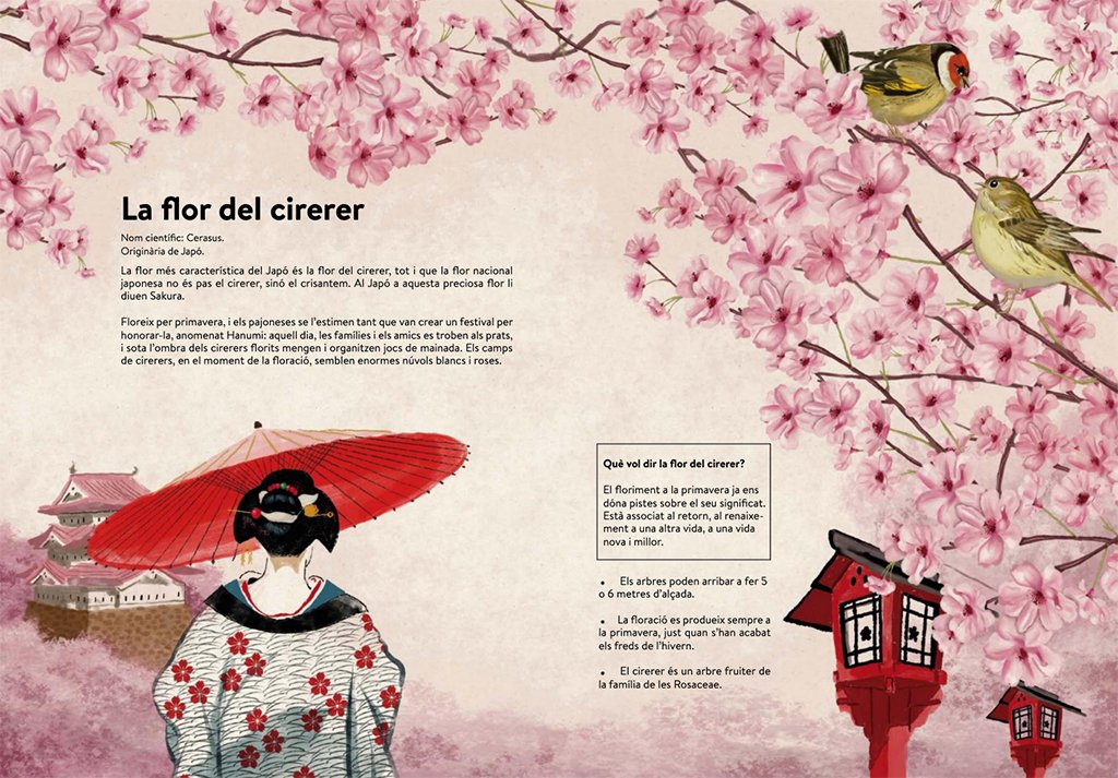 territori flor