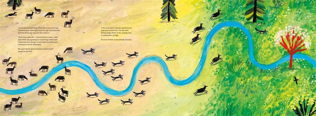 the art of rewilding: the return of yellowstone's wolves
