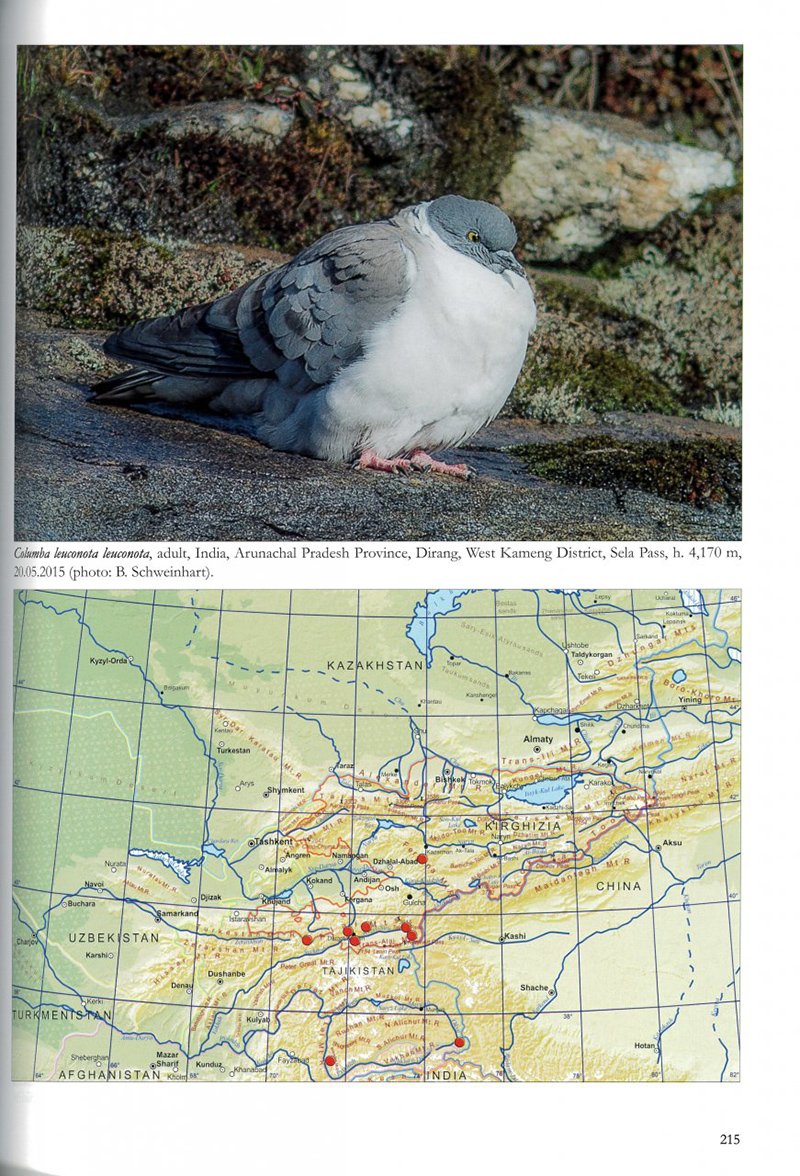 the birds of pamirs, hissar, alai and tien shan. volume 1: non-passerines part 2