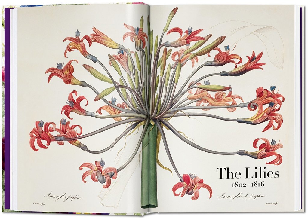 the book of flowers