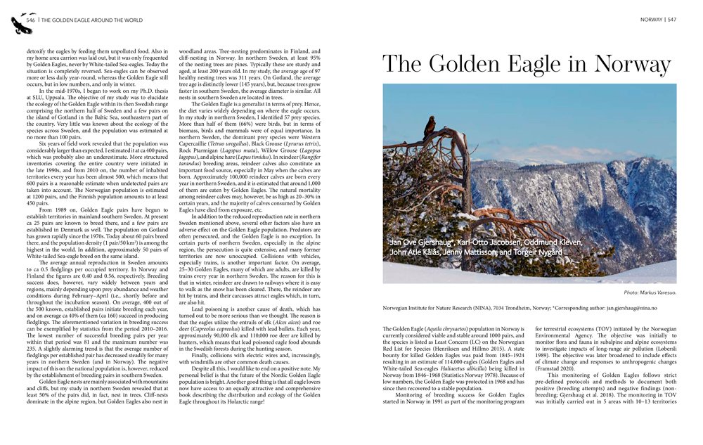 the golden eagle around the world: a monograph on a holarctic raptor