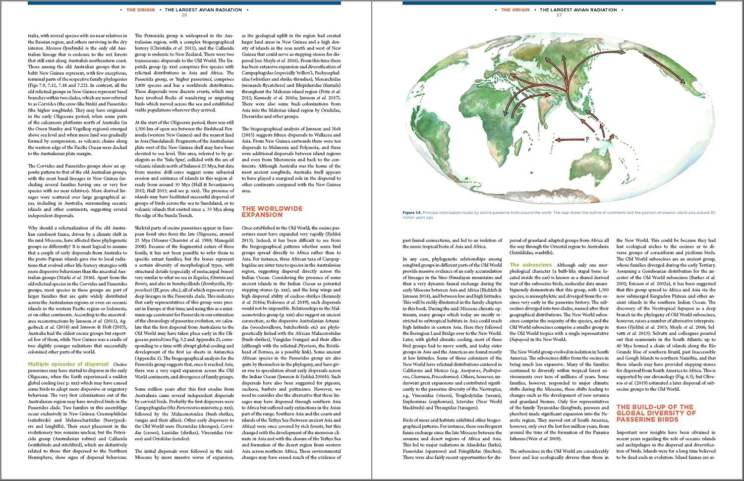 the largest avian radiation. the evolution of perching birds, or the order passeriformes