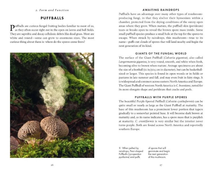 the little book of fungi