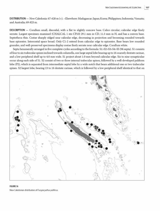 tropical deep-sea benthos