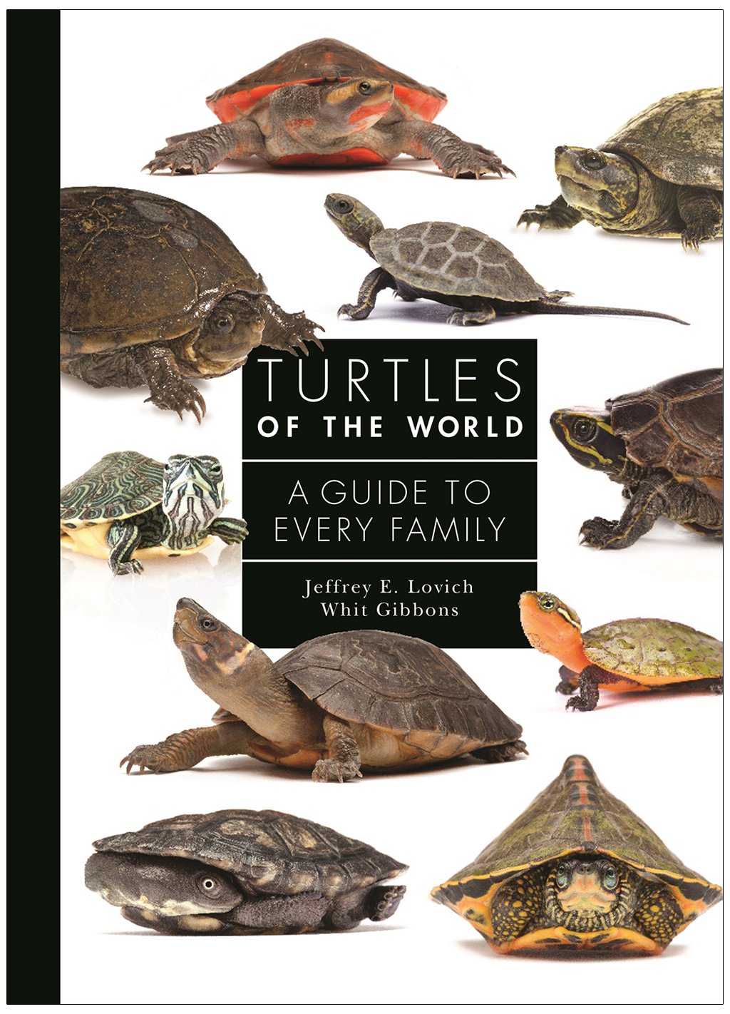 turtles of the world. a guide to every family