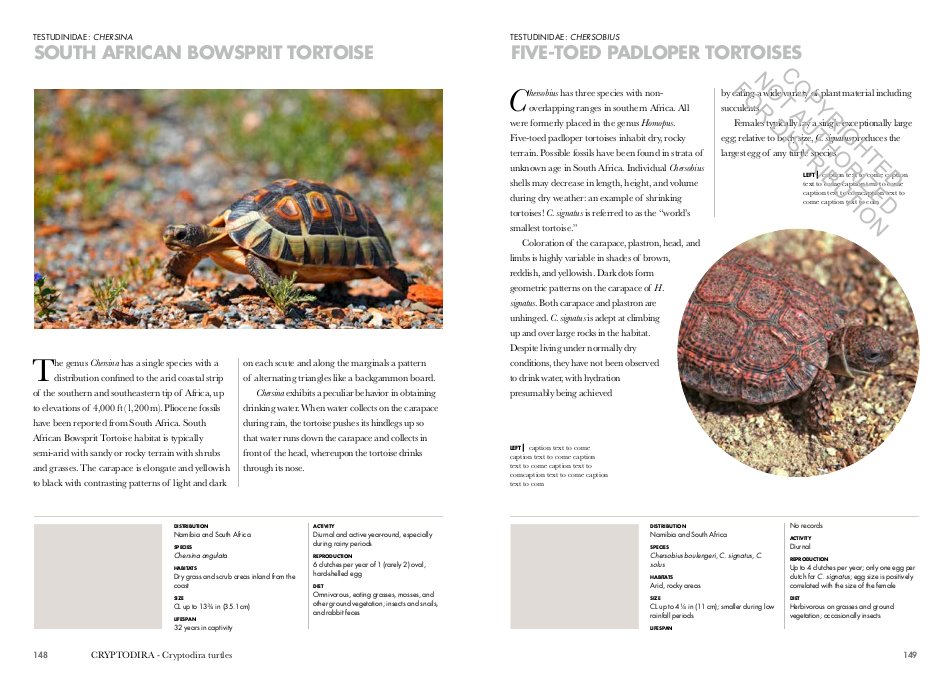 turtles of the world. a guide to every family