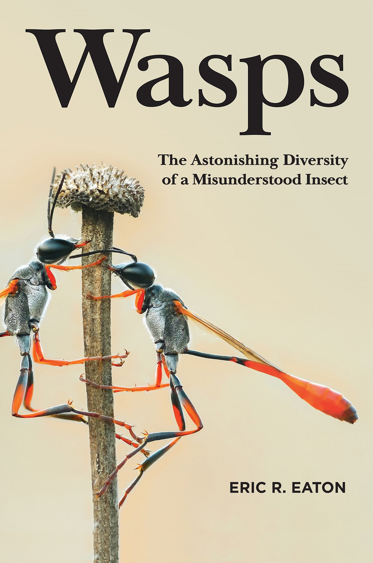 wasps. the astonishing diversity of a misunderstood insect